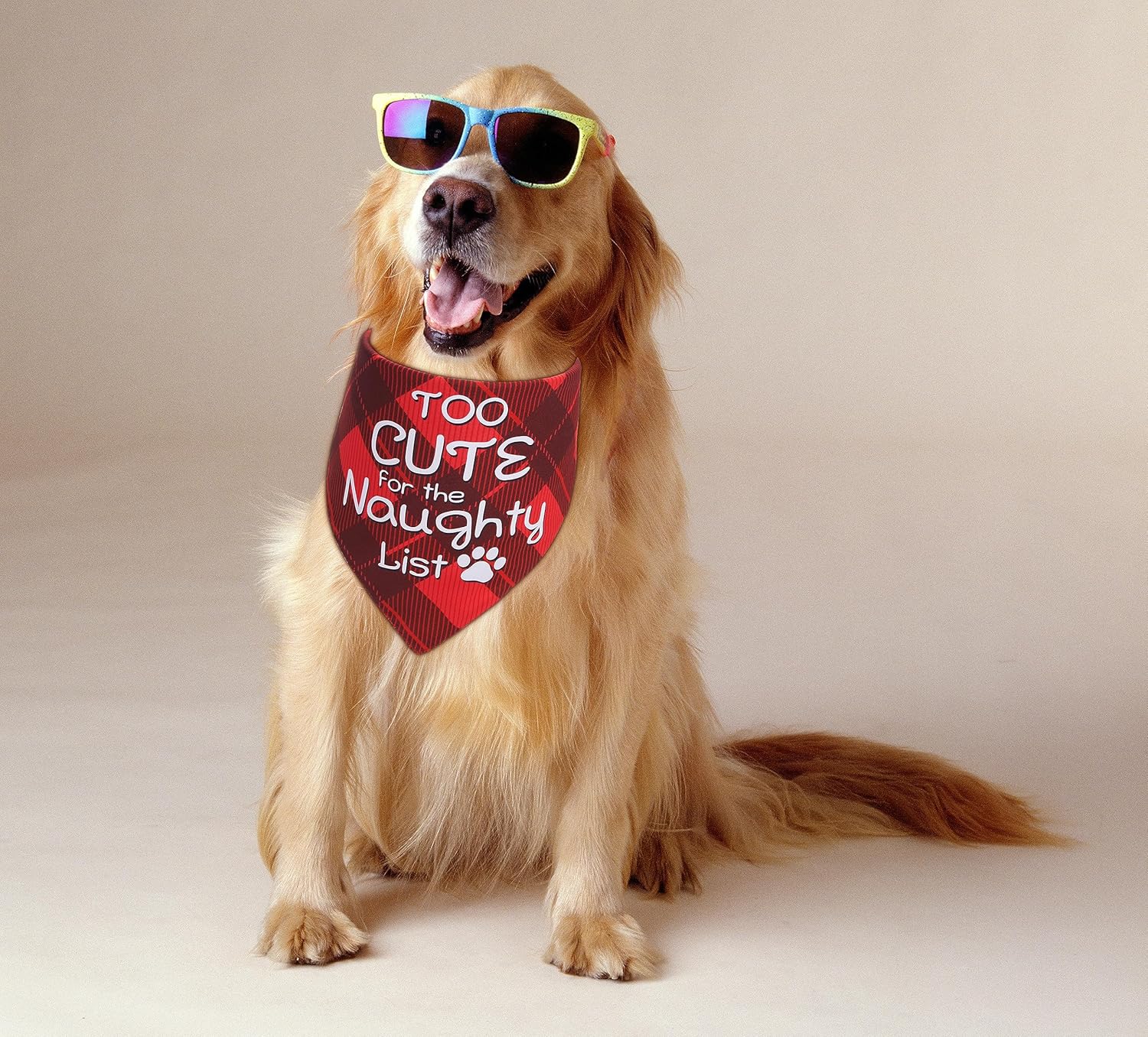 Christmas Dog Bandanas - Set of 2, Festive Plaid Scarves for Medium to Large Dogs